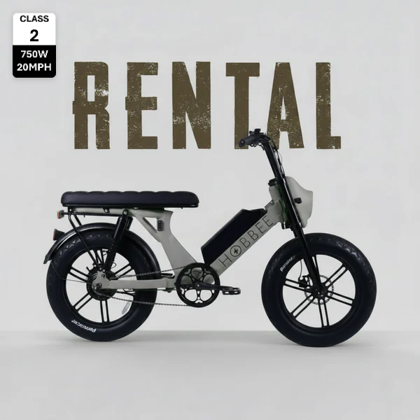 Playa Electric Bike Rental