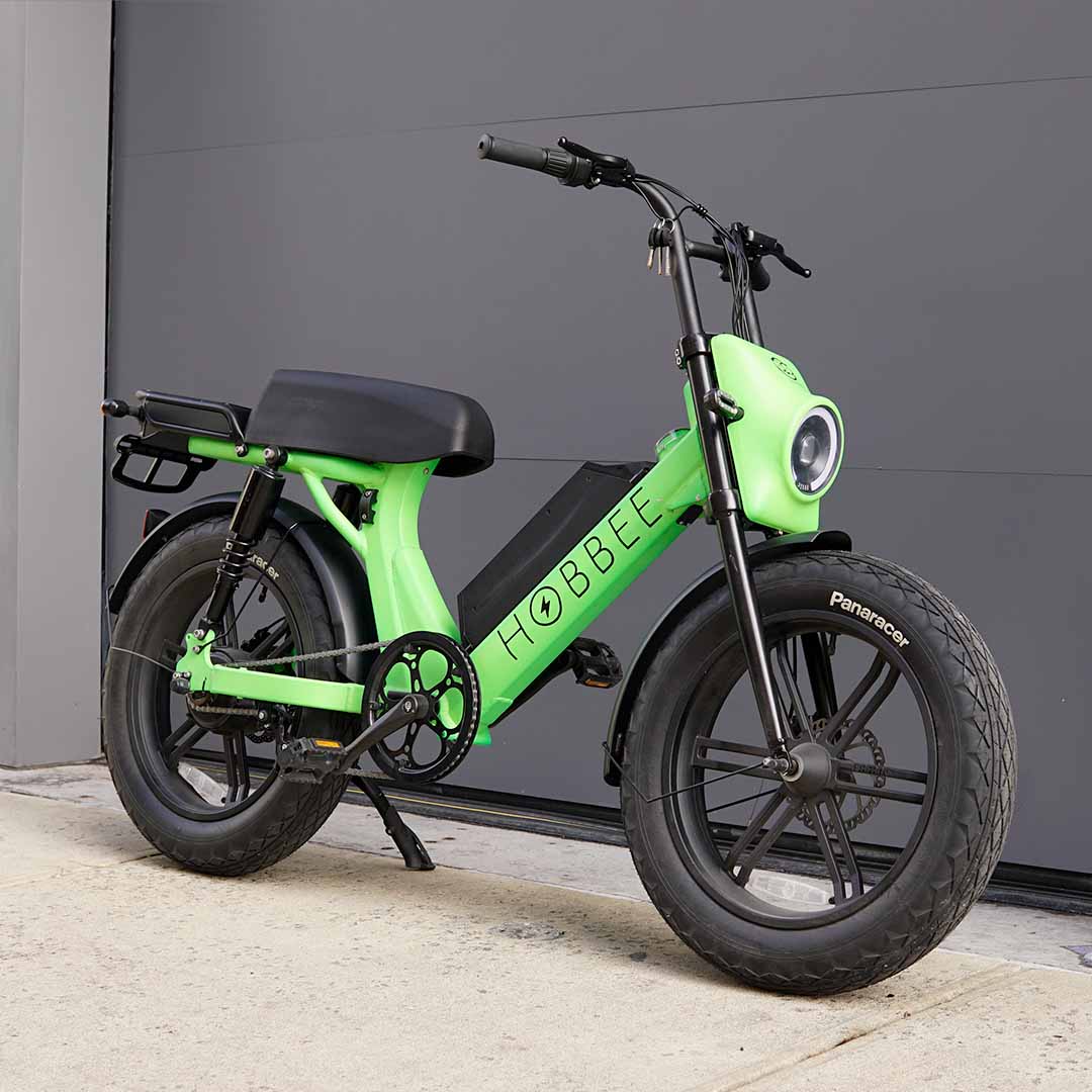 Moped Style E-Bike