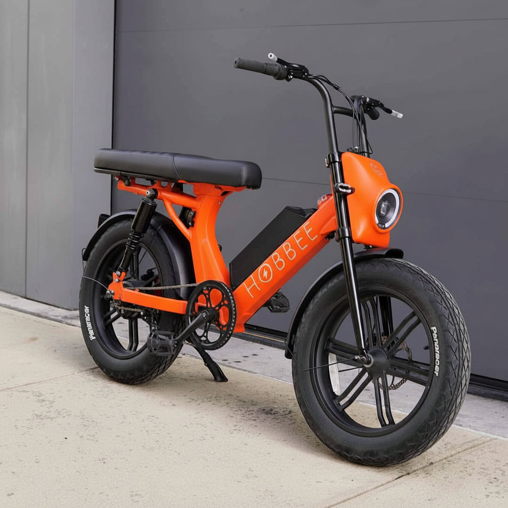 Moped Style E-Bike