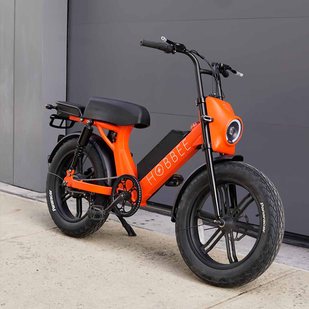 Moped Style E-Bike